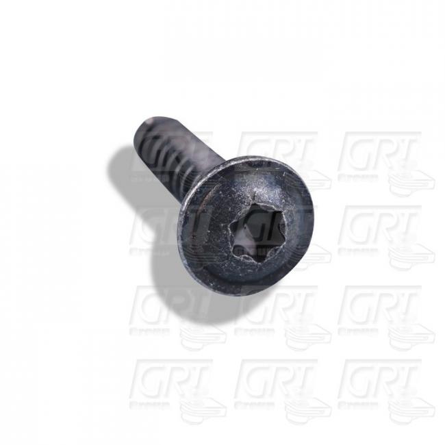 HONDA ŠRAF,TORX 5X28