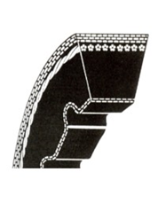 SCT KLINASTI KAIŠ 10 X 1075
